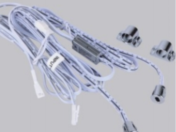 Dual door control switch