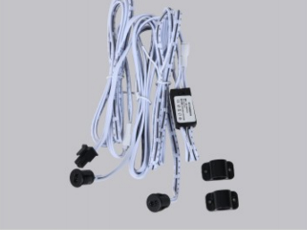 Dual door control switch